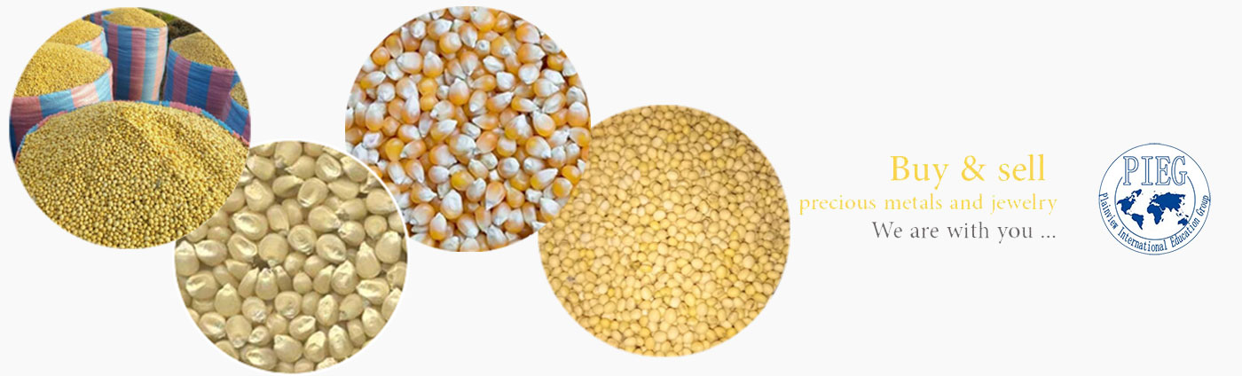 Plainview International Education Group